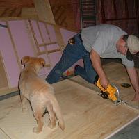  Supervisor is keeping a watchful eye on me... and the saw...